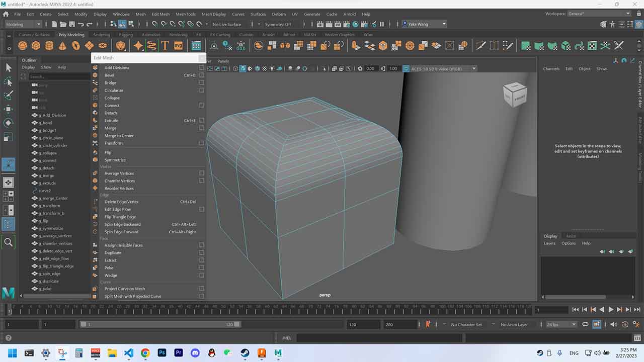assets/editmesh.jpg