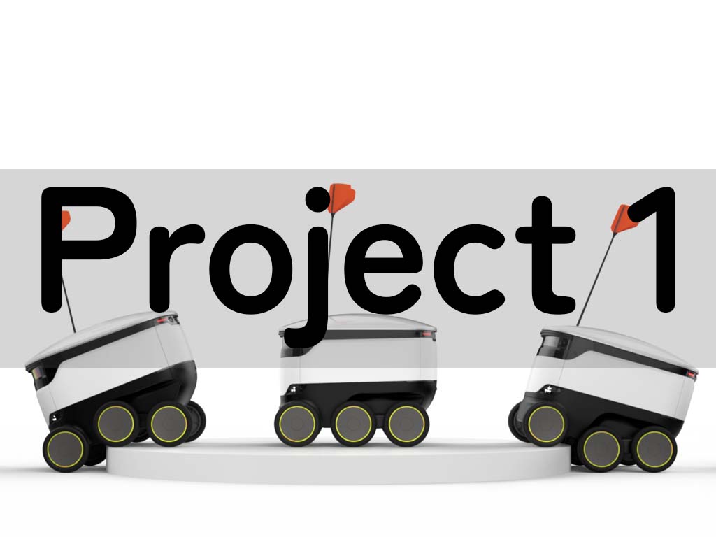 images/project1-pos1.jpg